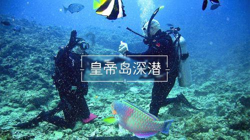 解救可爱的鸭子